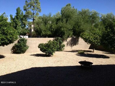 Rear Yard