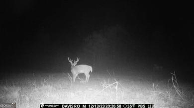 1075 Davis Rd, Carrollton, GA 30116 - photo 4