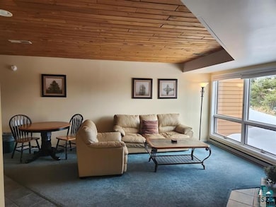 Carpeted living room with wood ceiling and baseboard heating