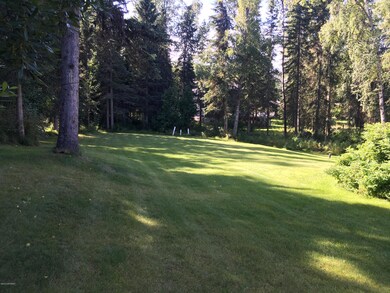 Beautiful Lawn
