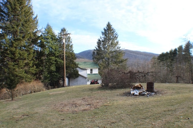 183 Slaymaker Ln, Cass, WV 24927 - photo 7