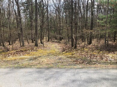 838 Muldovan Dr, Lackawaxen Township, PA 18428 - photo 2