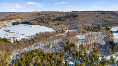 0, Otselic, NY 13815 - photo 5