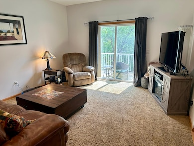 1953 Commonwealth Blvd unit 3, Chanhassen, MN 55317 - photo 4