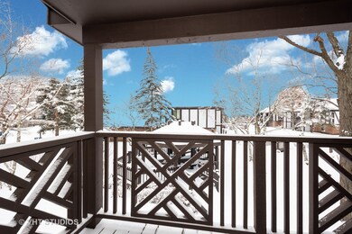 1450 Johnstown Ln unit C, Wheaton, IL 60189 - photo 3