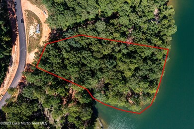 Lot 51 Aerial Use (2 of 3) lot line