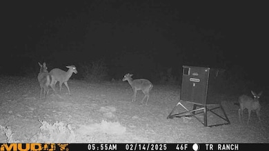 TR Ranch NE Tract 2, Langtry, TX 78871 - photo 5