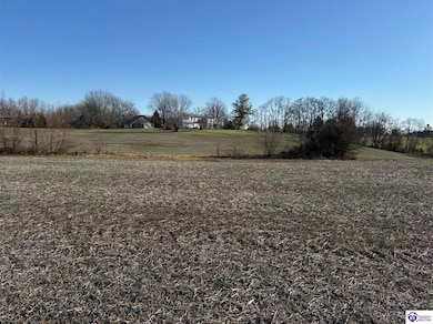 190 Owl Creek Dr, Vine Grove, KY 40175 - photo 3