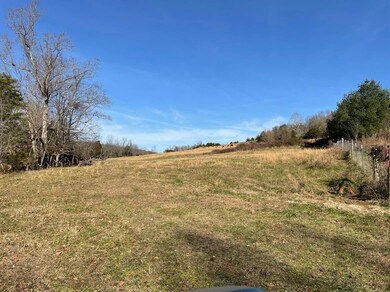 231 Highway 1003, Somerset, KY 42501 - photo 2