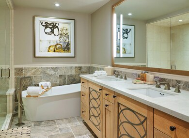 219 E Durant Ave unit A10, Aspen, CO 81611 - photo 4