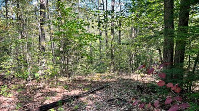 8 Hemlock Rd, Tyringham, MA 01264 - photo 4