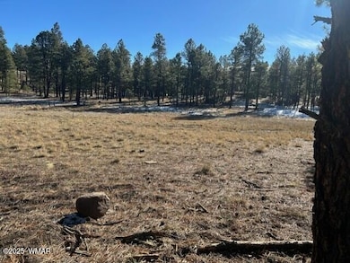 0 Cr N2121, Alpine, AZ 85920 - photo 3