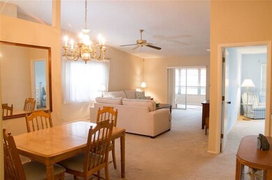 3261 Mcmath Dr, Palm Harbor, FL 34684 - photo 2