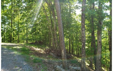 461 Cherokee Ct, Ellijay, GA 30540 - photo 4