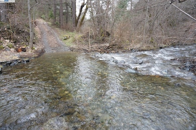 4990 Indian Creek Rd, Douglas City, CA 96024 - photo 3