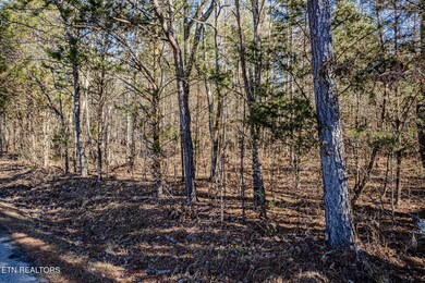 5 acres S Nopone Valley Rd, Decatur, TN 37322 - photo 3