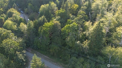 3628 Creek View Ct SE, Parkwood, WA 98366 - photo 6