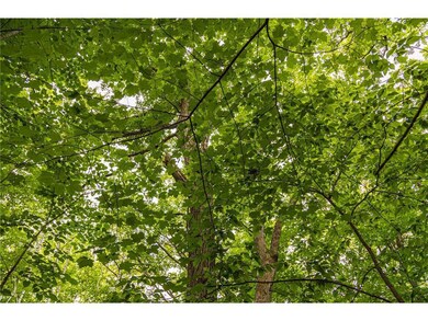 Block 1, Lot 5 Mid-River Estates Estates, Pine City, MN 55063 - photo 5