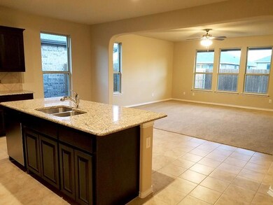 305 Lemon Mint Ln, Denton, TX 76210 - photo 5