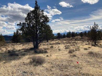 0 Shop Gulch unit 220111419, Mount Vernon, OR 97865 - photo 5