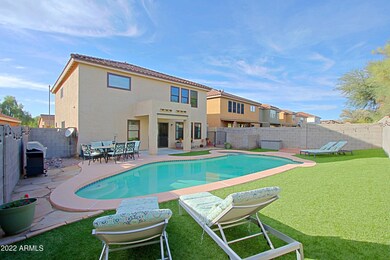Backyard 6