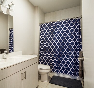 431 River St unit 405, Waltham, MA 02453 - photo 6