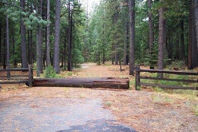 Driveway already cut