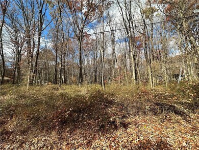 0 Chestnut Lot W076 Dr unit 726492, Towamensing Township, PA 18235 - photo 3