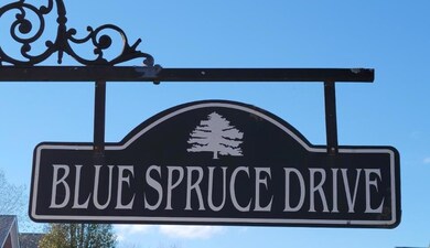 100 Blue Spruce Dr, Frankfort, KY 40601 - photo 4