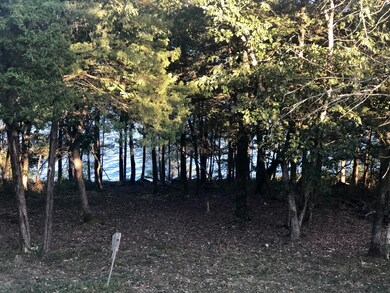 So close to the lake!