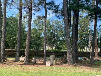 139 Pumpkin Ash Loop, Conway, SC 29527 - photo 3