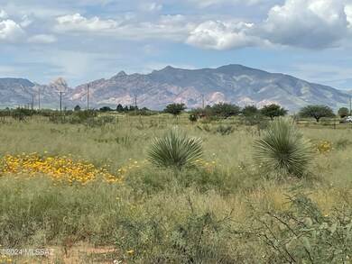 IMG_3891