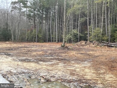 Lot 9B West Piney Gr Deer Pines, Georgetown, DE 19947 - photo 3