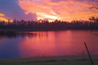 Your light show every evening.