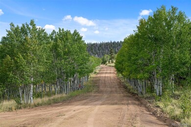 54 Lancelot Ln unit 10 & 11, Hartsel, CO 80449 - photo 6