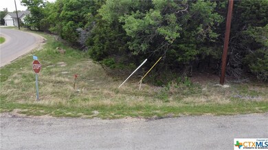 15886 Salado Dr, Temple, TX 76502 - photo 6