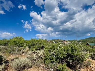 View of local wilderness