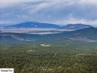 TBD Usfs Forestroad 132a, Questa, NM 87556 - photo 7