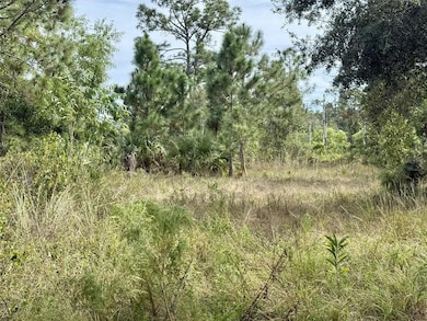 27275 Notre Dame Blvd, Punta Gorda, FL 33955 - photo 3