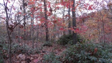 0 Drew Ct unit RTC3050467, Smithville, TN 37166 - photo 6