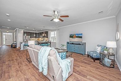 493NelliefieldTrail0011