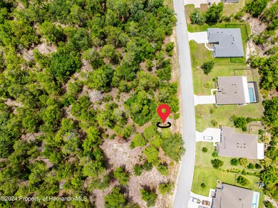 13 Lone Pine St, Sugarmill Woods, FL 34446 - photo 7