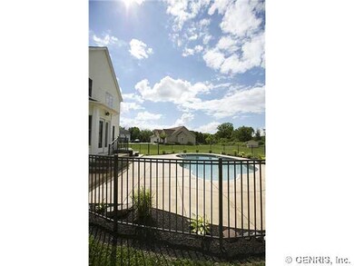 Pool In Ground