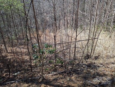 94 Trillium Ln unit C2, Black Mountain, NC 28711 - photo 5