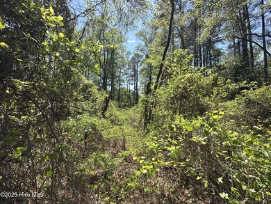 SW corner of the lot