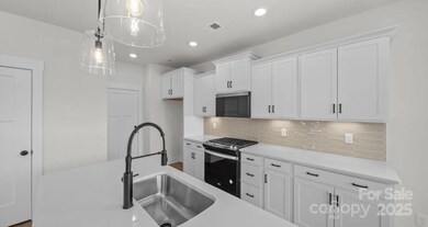 114 Canary Ln unit 4, Mooresville, NC 28115 - photo 5