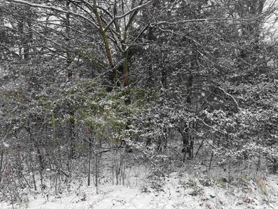 31702 127th St, Floris, IA 52560 - photo 6