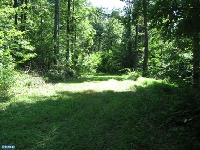 151 Sousley Rd, Lenhartsville, PA 19534 - photo 7