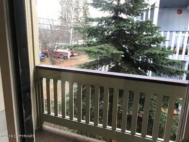 Back Deck