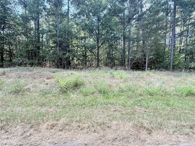 4.7 Acres Blade Run Rd, Edgemoor, SC 29712 - photo 3